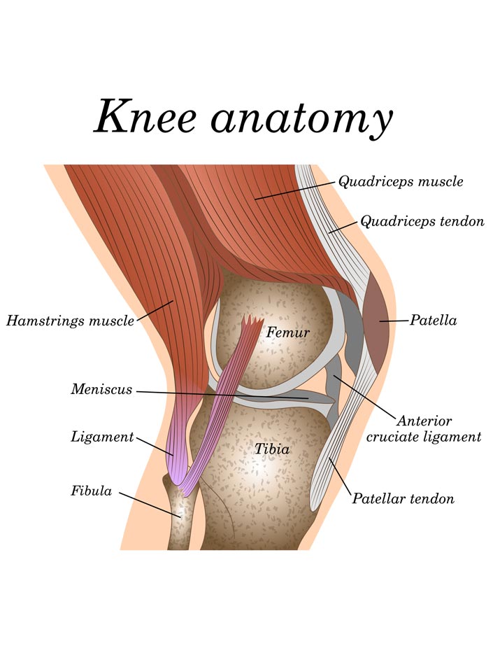 blog, knee replacement surgery